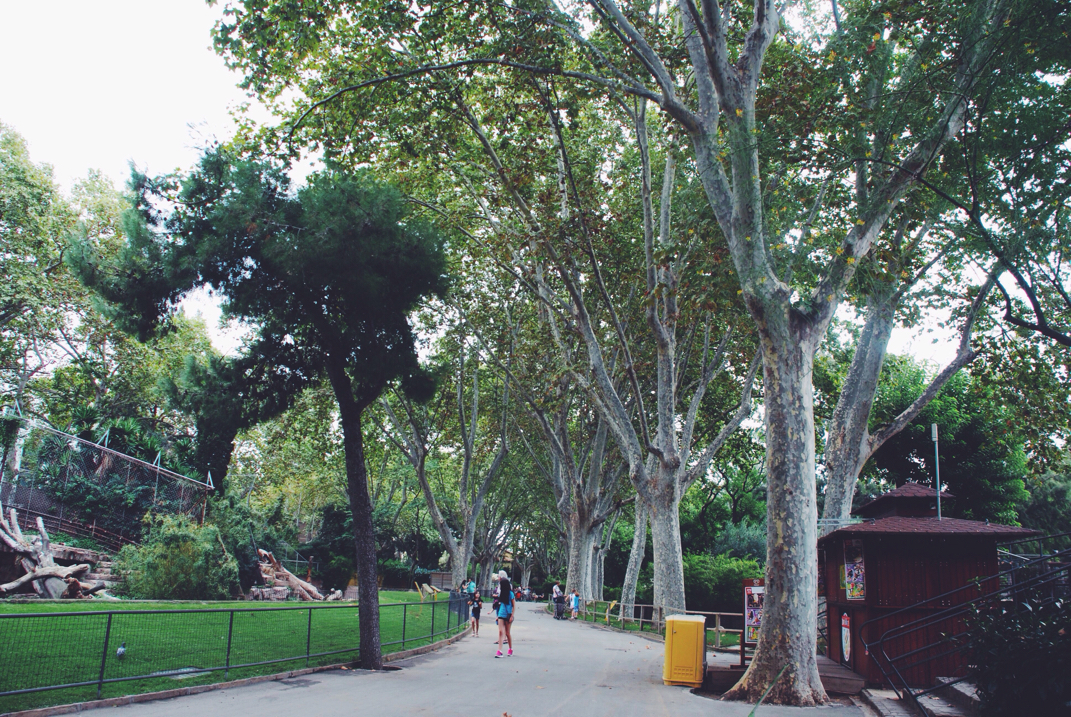 Image Barcelona Zoo