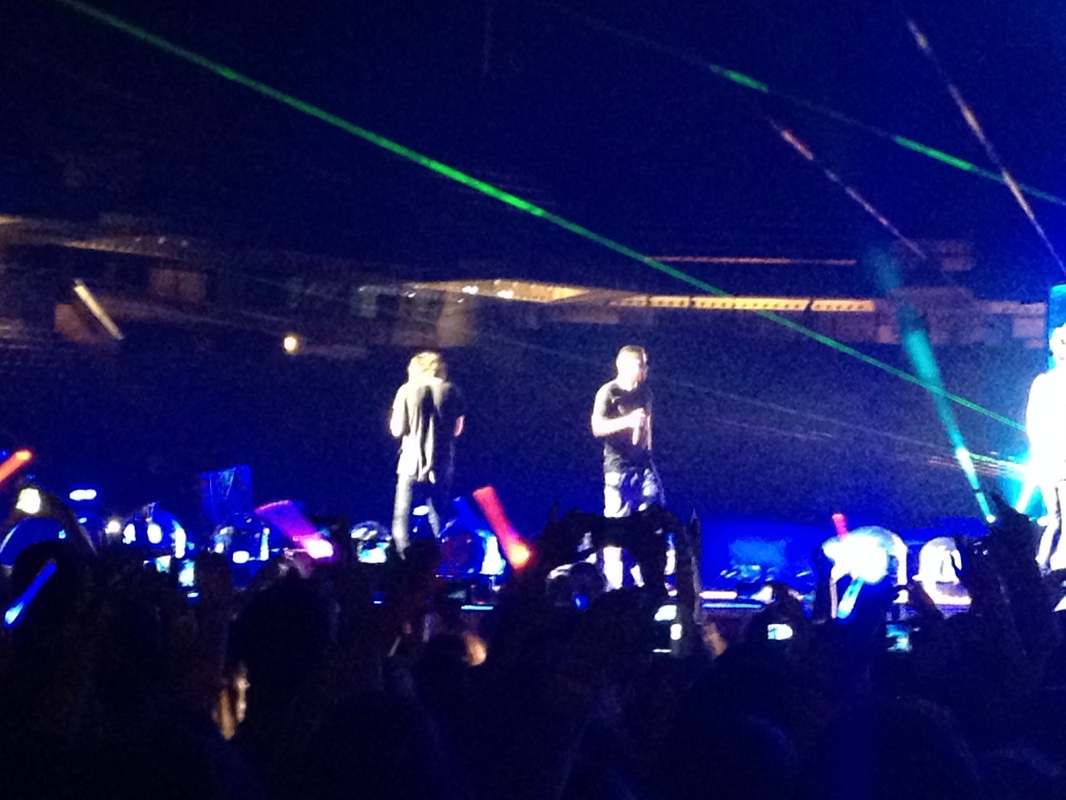 Harry Styles Liam Payne One Direction Barcelona Concert 