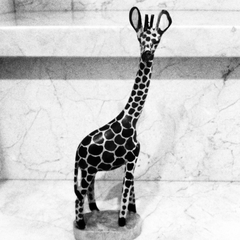 Image billy the giraffe