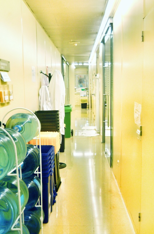 Lab corridor